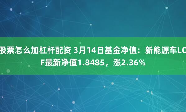 股票怎么加杠杆配资 3月14日基金净值：新能源车LOF最新净值1.8485，涨2.36%