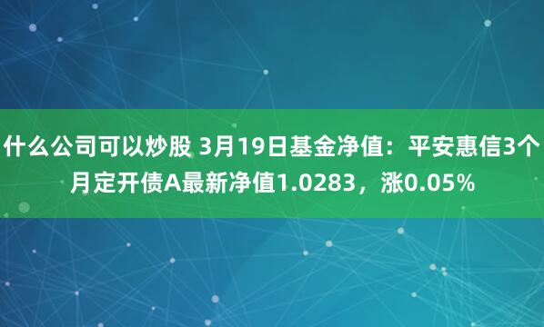 什么公司可以炒股 3月19日基金净值：平安惠信3个月定开债A最新净值1.0283，涨0.05%