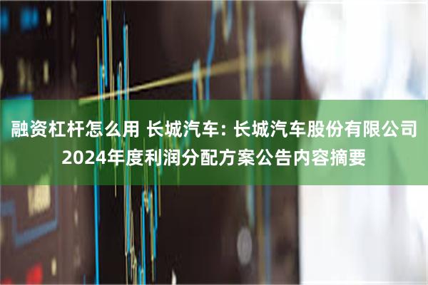 融资杠杆怎么用 长城汽车: 长城汽车股份有限公司2024年度利润分配方案公告内容摘要